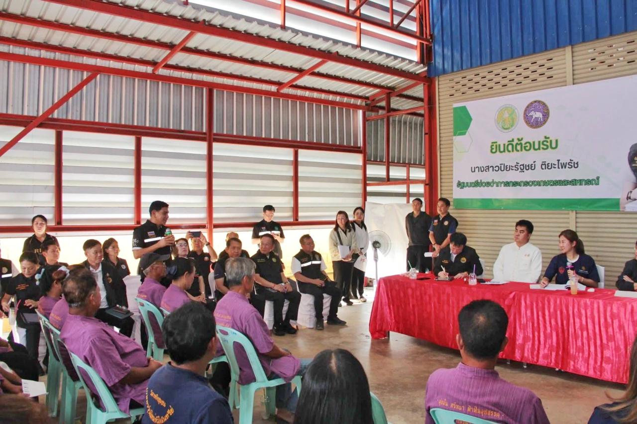 ภาพประกอบที่ 13