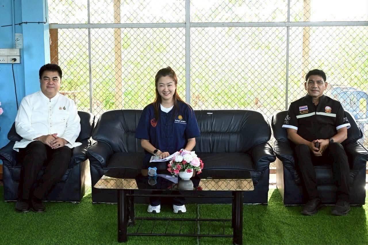 ภาพประกอบที่ 0