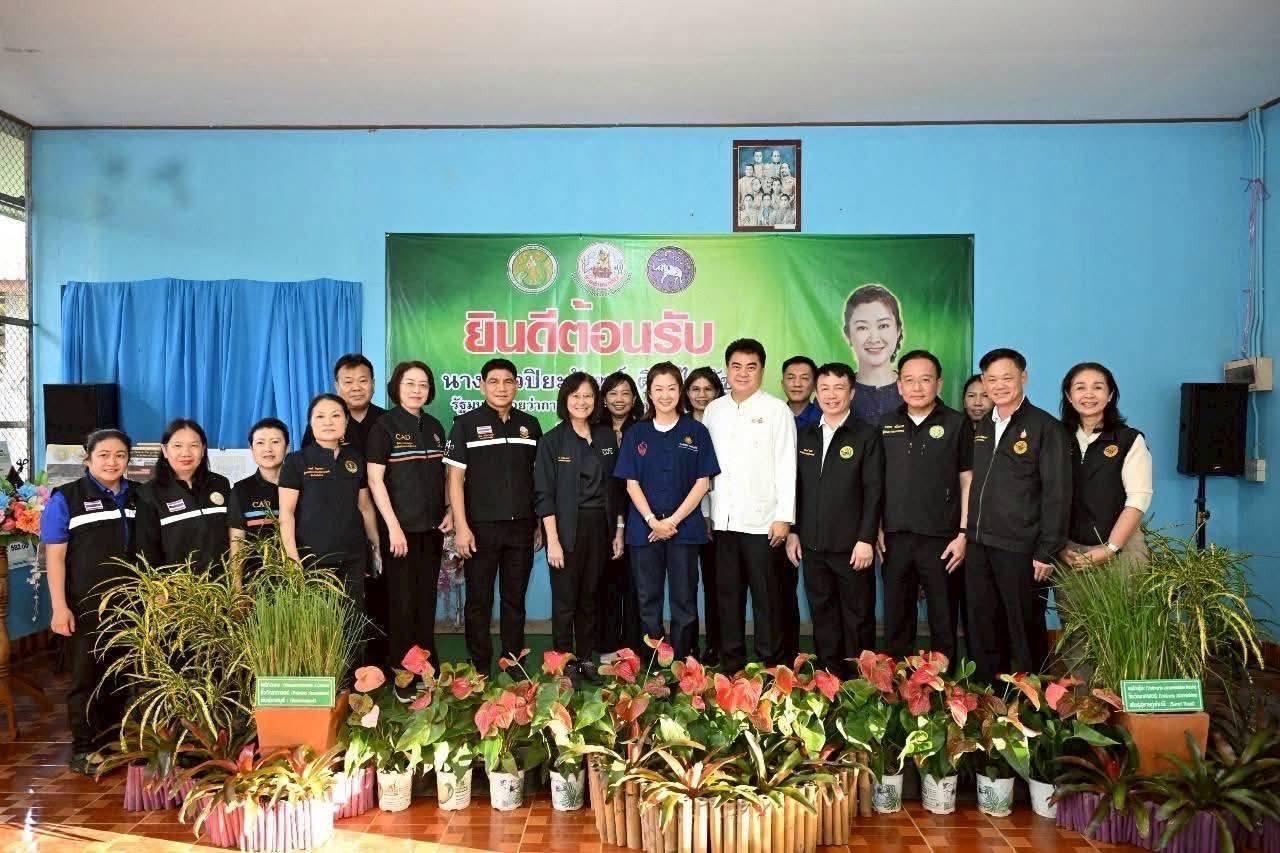 ภาพประกอบที่ 8