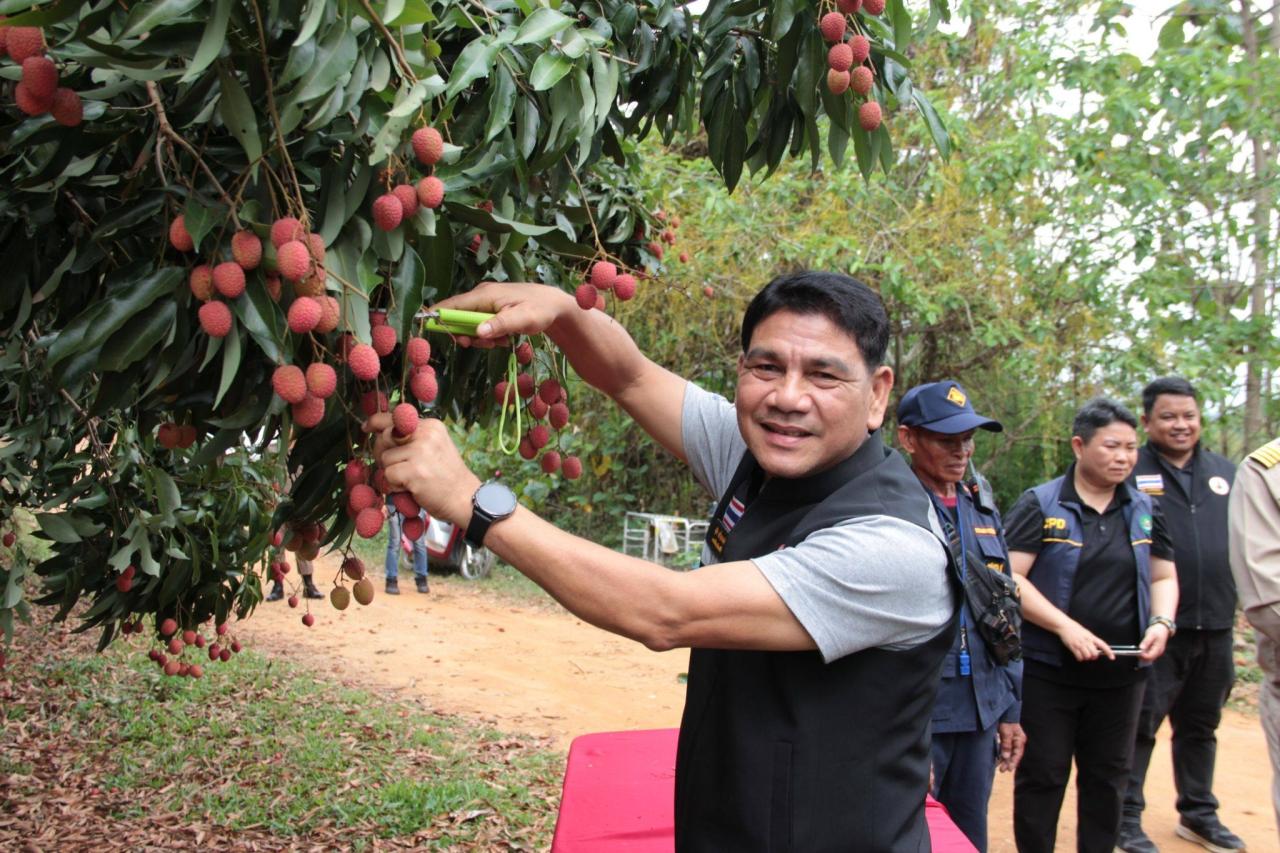 ภาพประกอบที่ 2