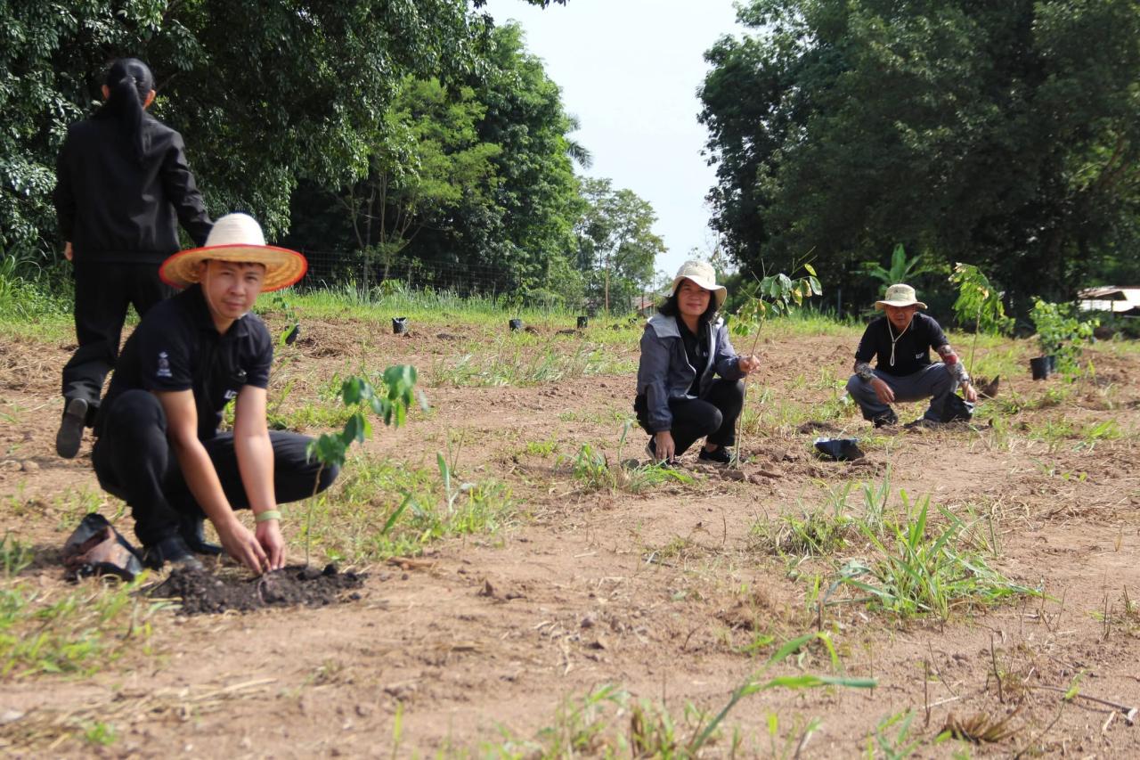 ภาพประกอบที่ 3