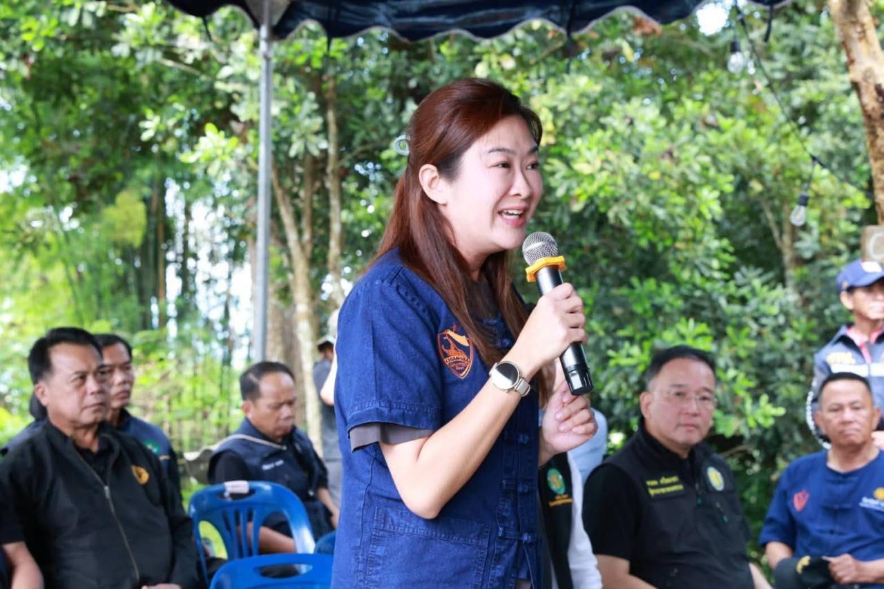 ภาพประกอบที่ 0