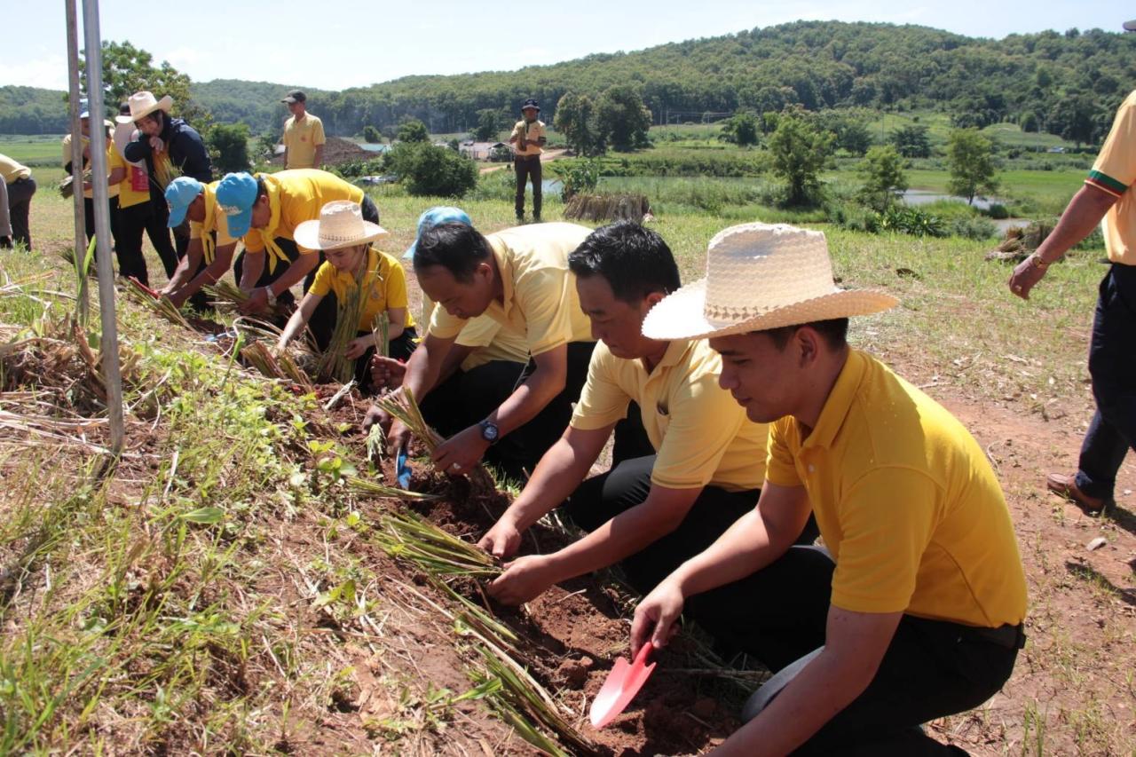 ภาพประกอบที่ 4