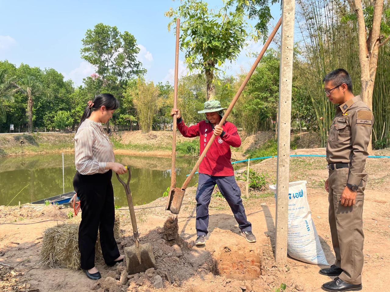 ภาพประกอบที่ 0