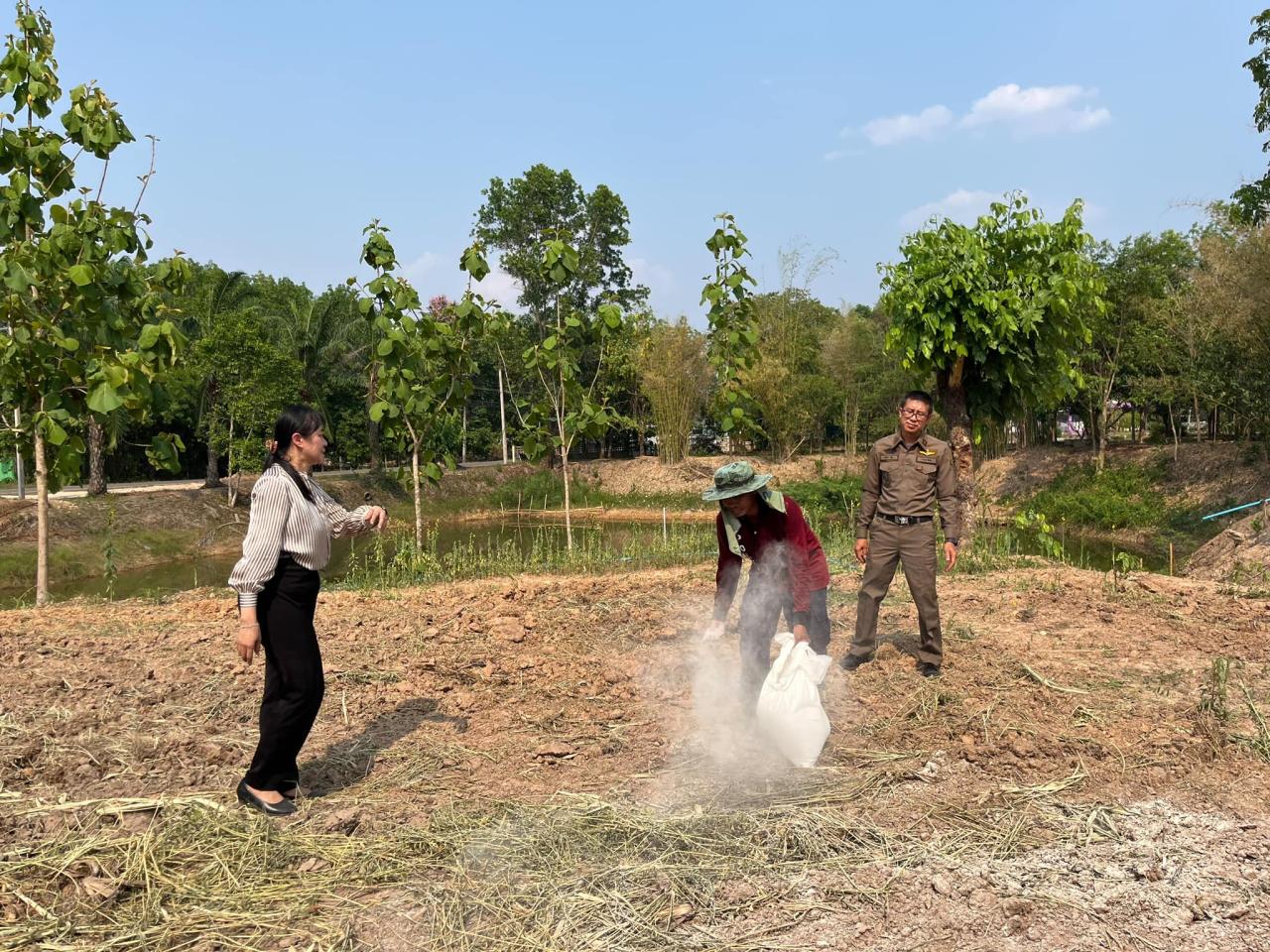 ภาพประกอบที่ 1