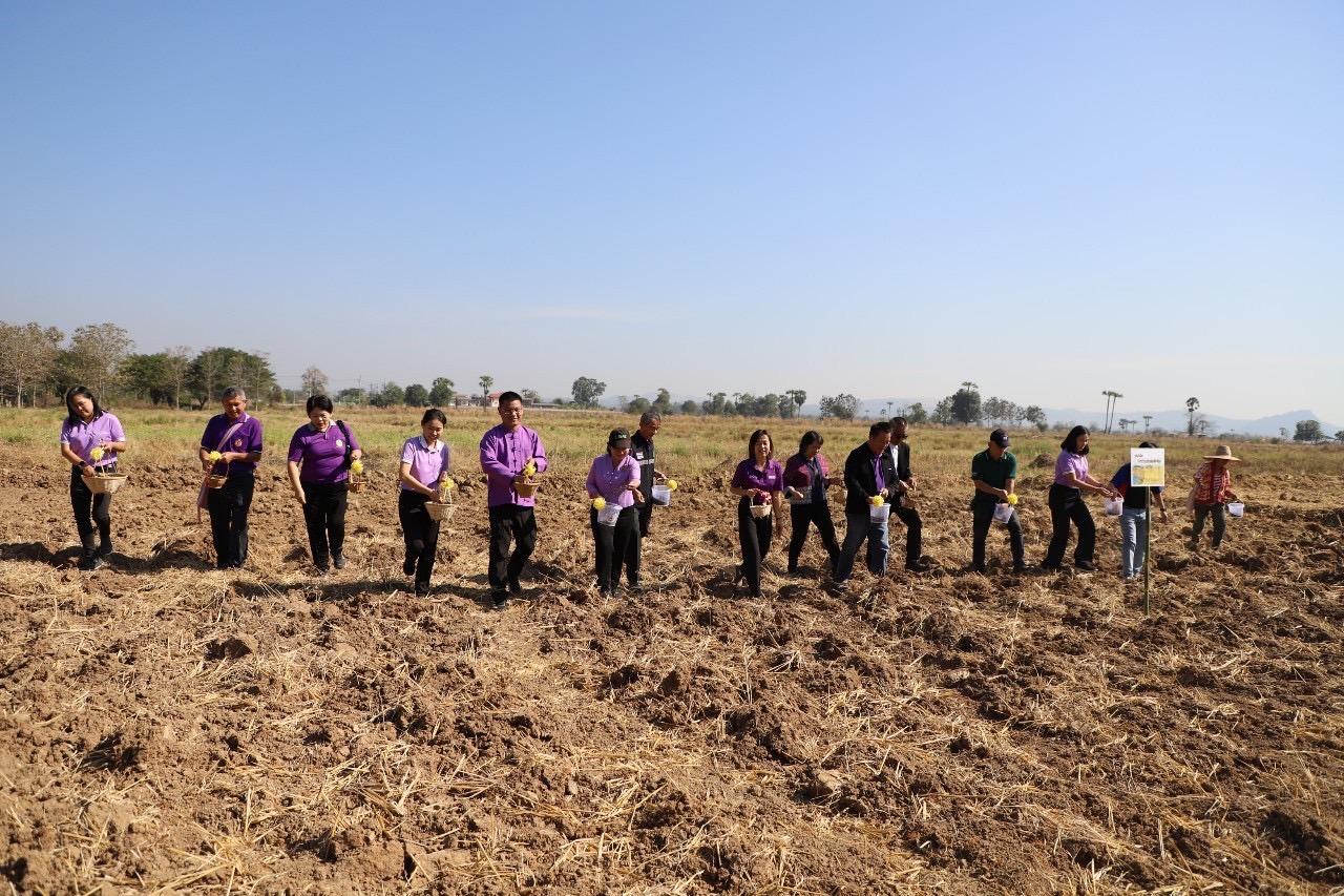 ภาพประกอบที่ 8