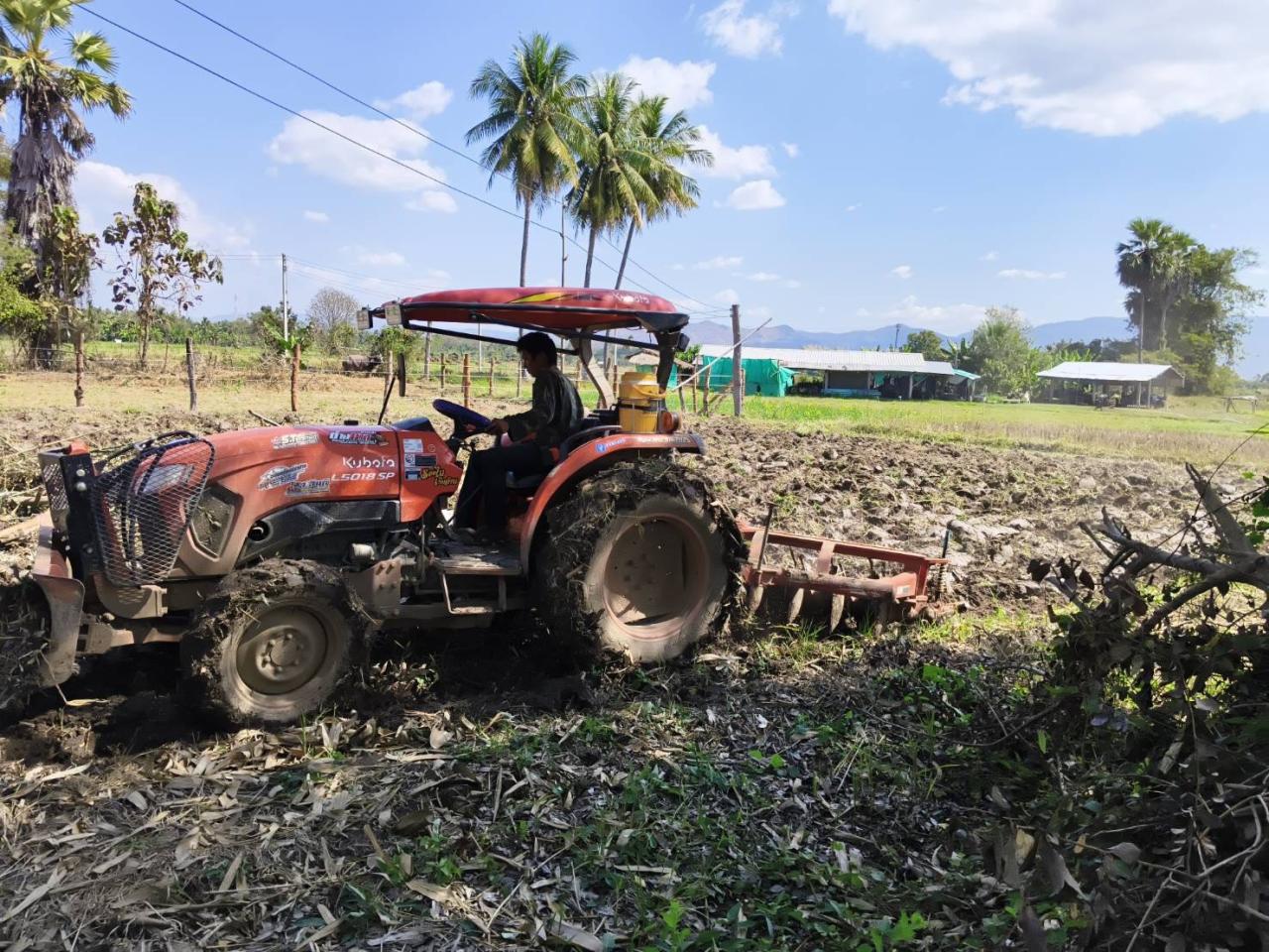 ภาพประกอบที่ 6