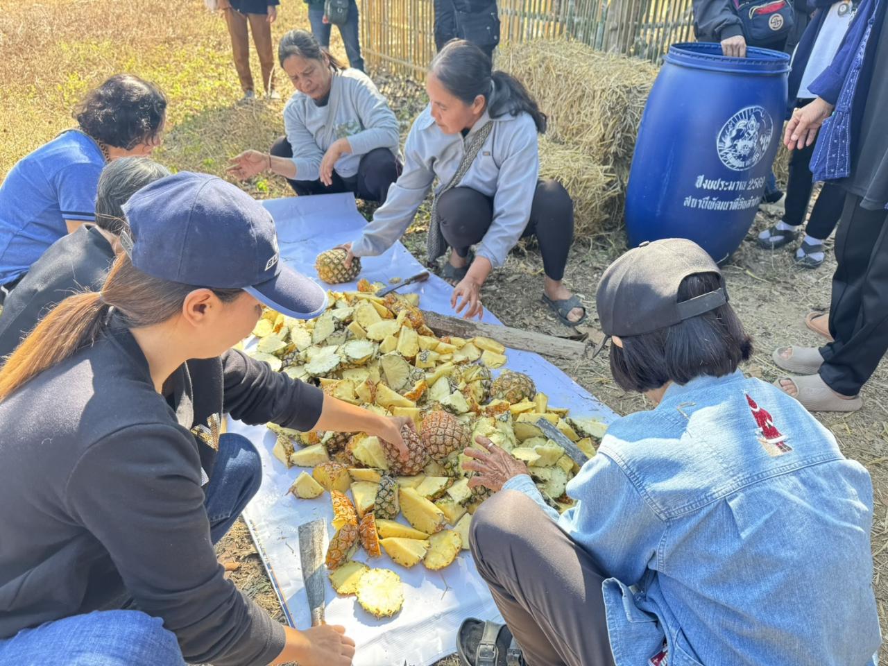ภาพประกอบที่ 5