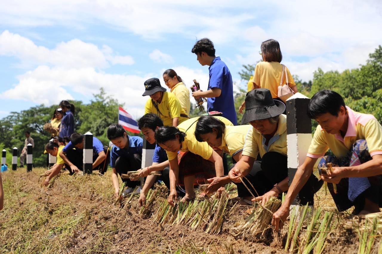 ภาพประกอบที่ 6