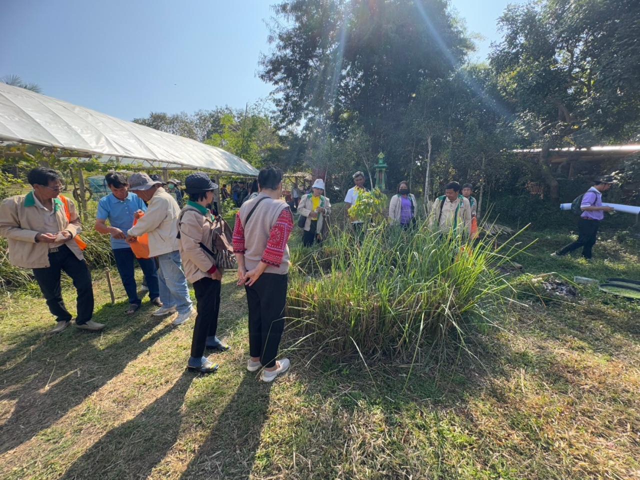 ภาพประกอบที่ 5