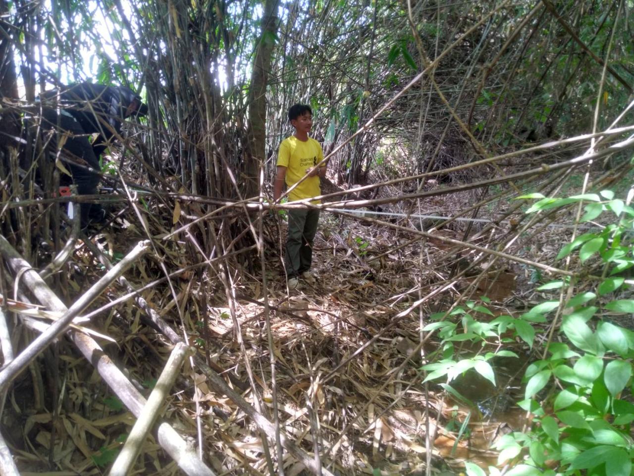 ภาพประกอบที่ 4