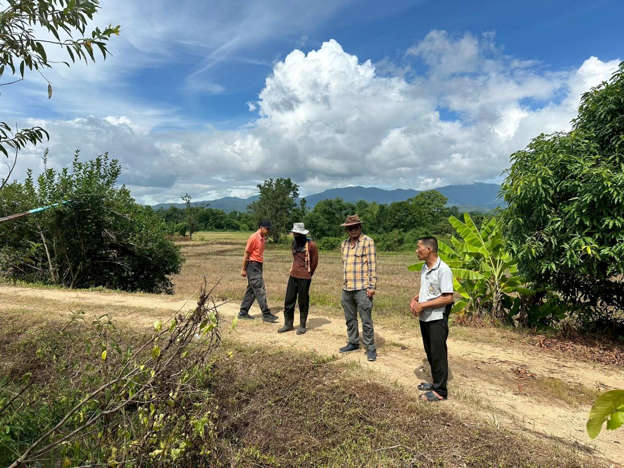 ภาพประกอบที่ 0