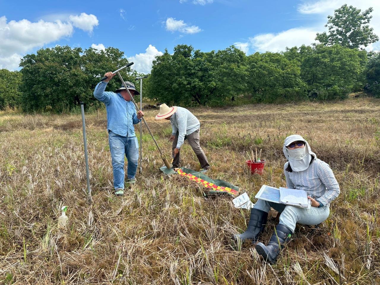 ภาพประกอบที่ 3