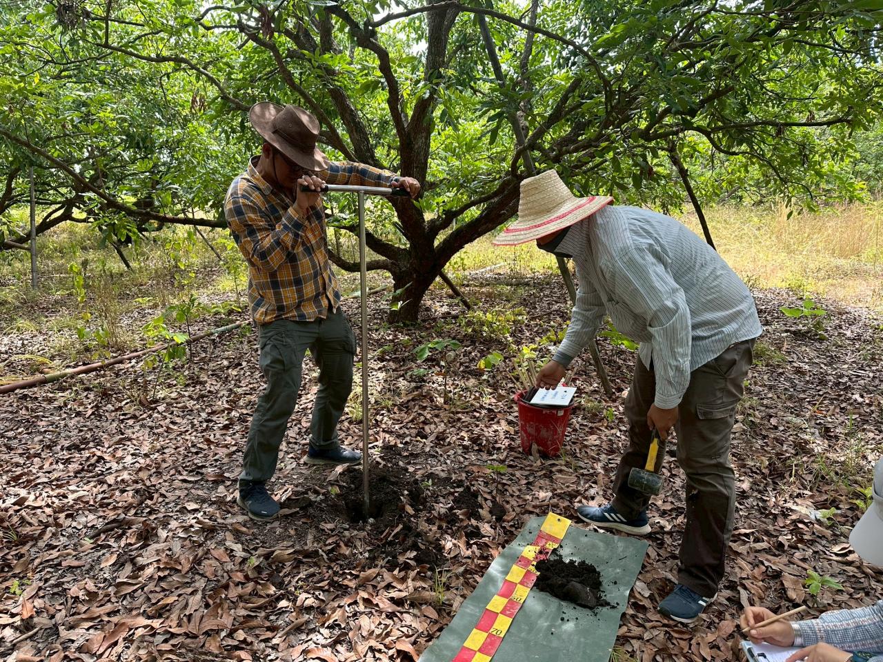 ภาพประกอบที่ 6