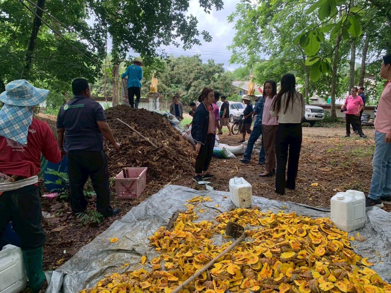 ภาพประกอบที่ 0