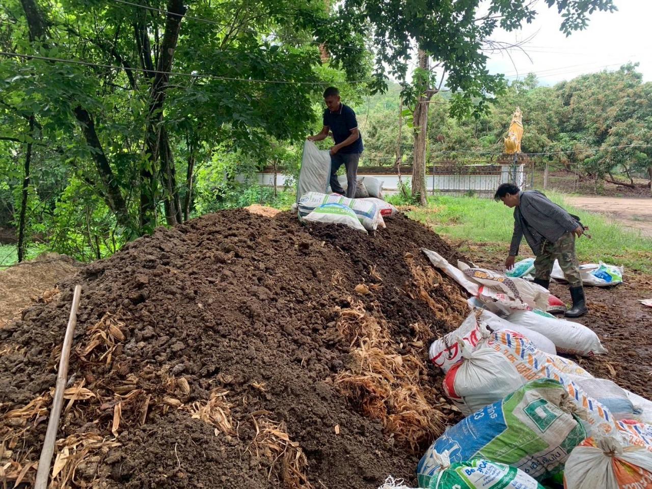 ภาพประกอบที่ 1