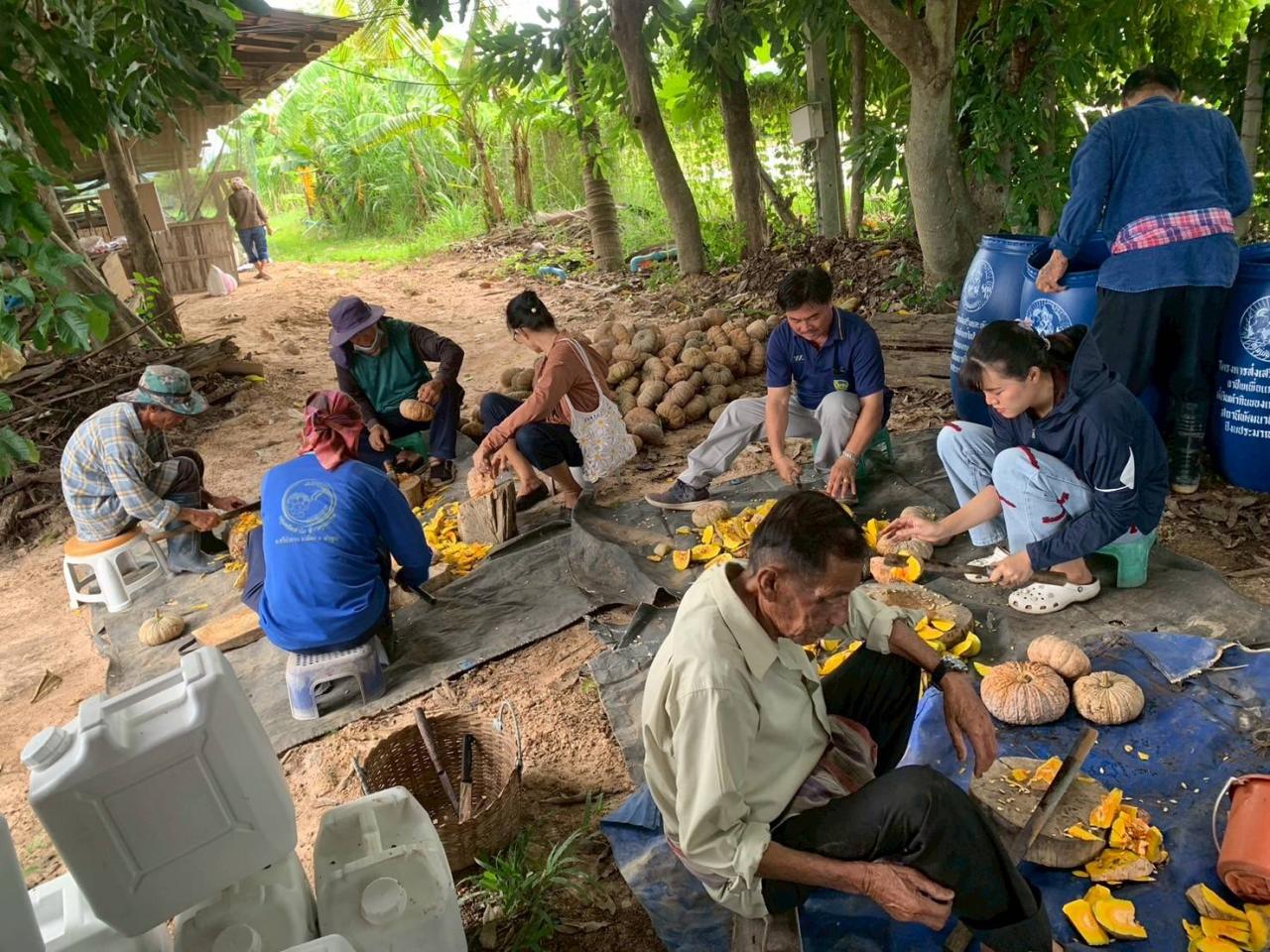 ภาพประกอบที่ 2