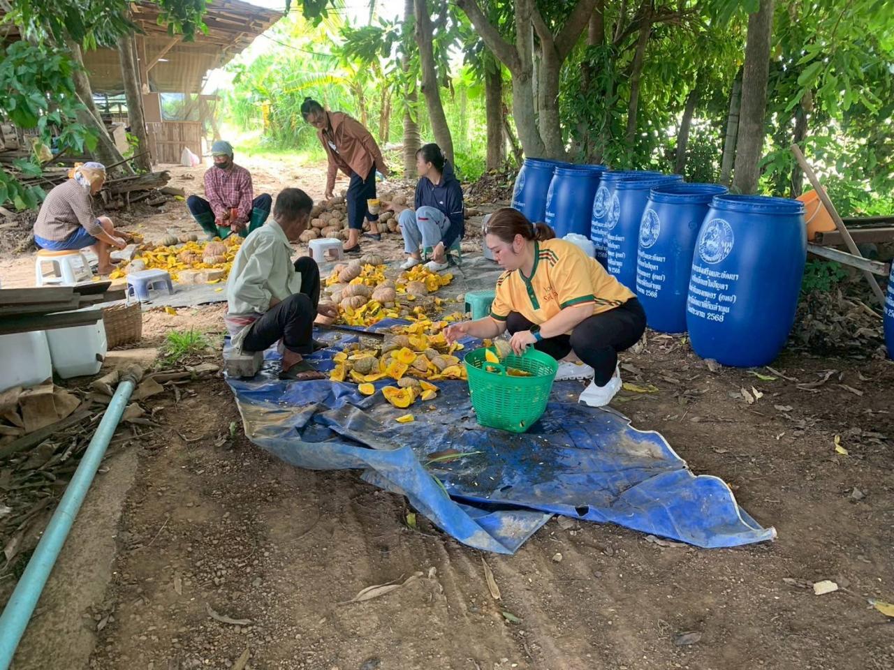 ภาพประกอบที่ 3