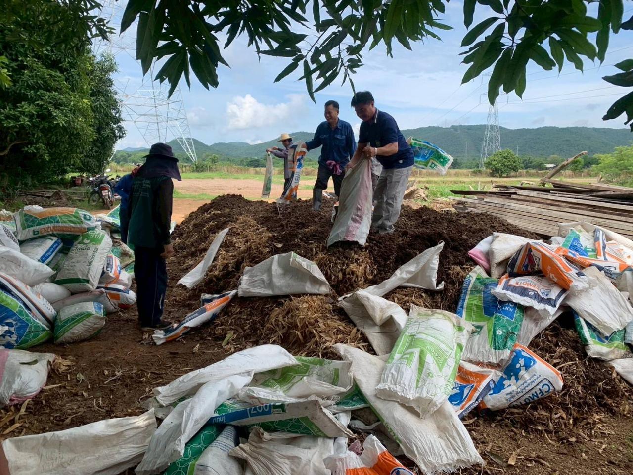 ภาพประกอบที่ 4