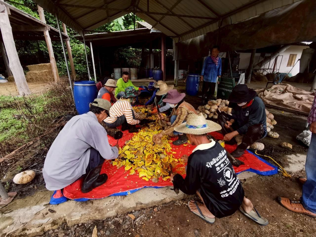 ภาพประกอบที่ 6