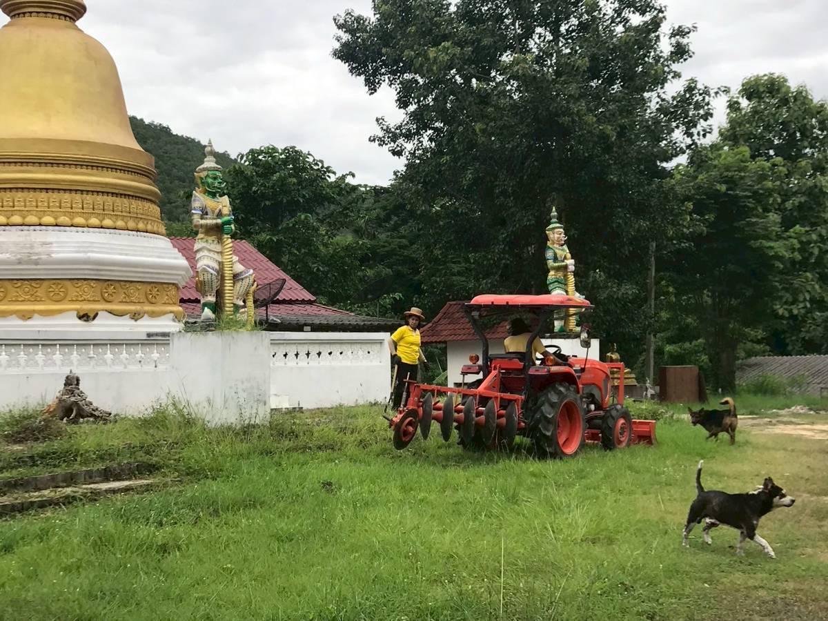 ภาพประกอบที่ 8