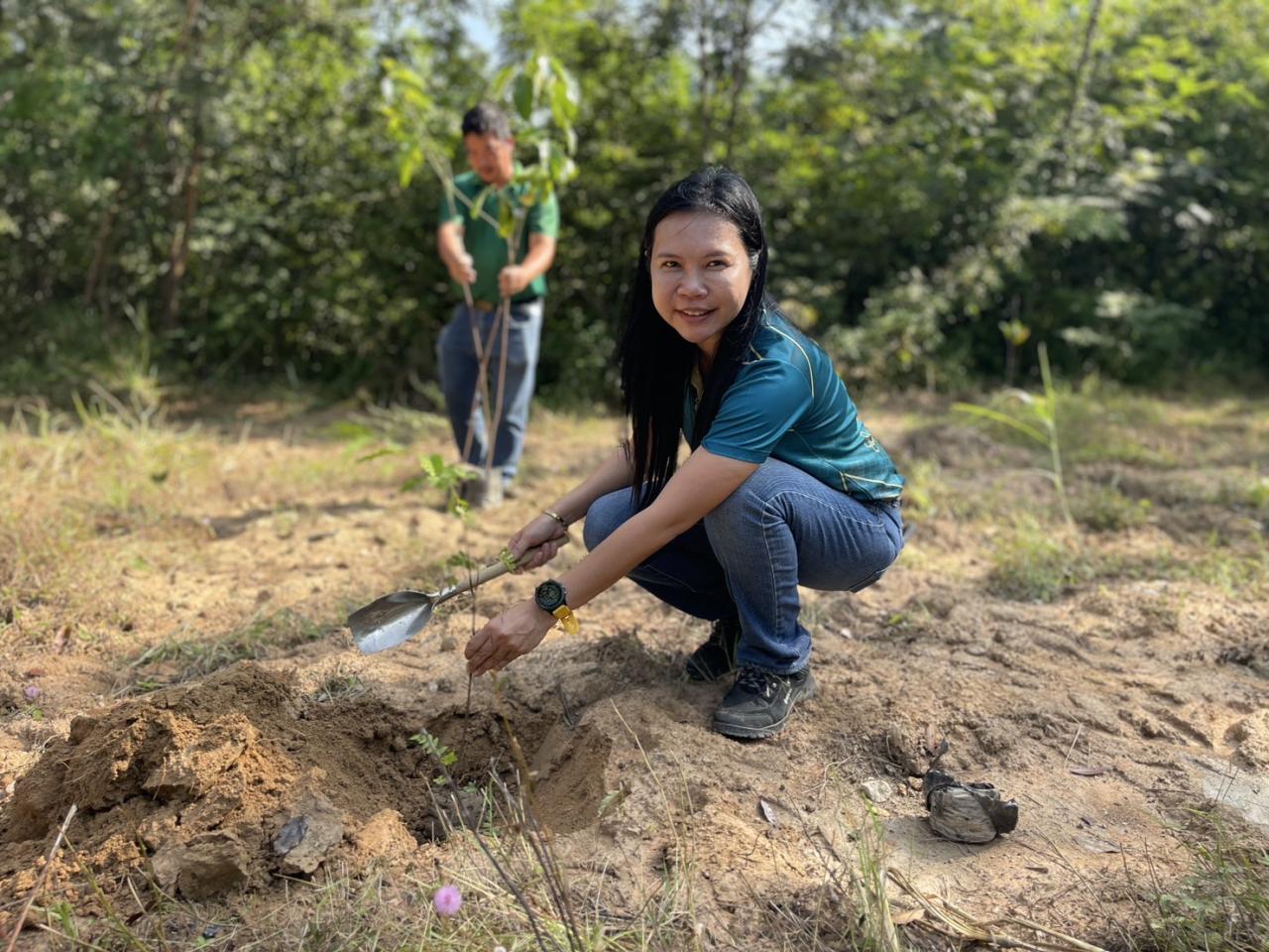 ภาพประกอบที่ 0