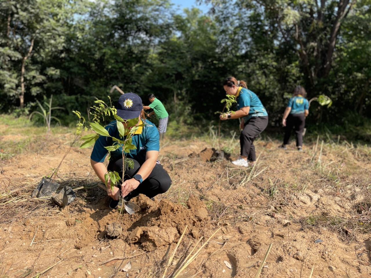 ภาพประกอบที่ 1