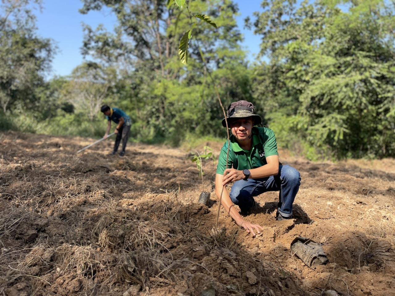 ภาพประกอบที่ 2