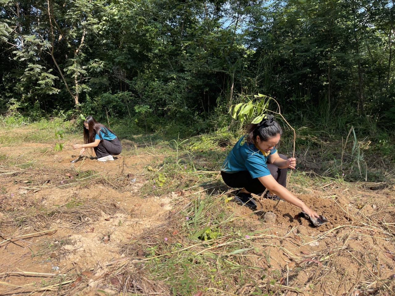 ภาพประกอบที่ 4
