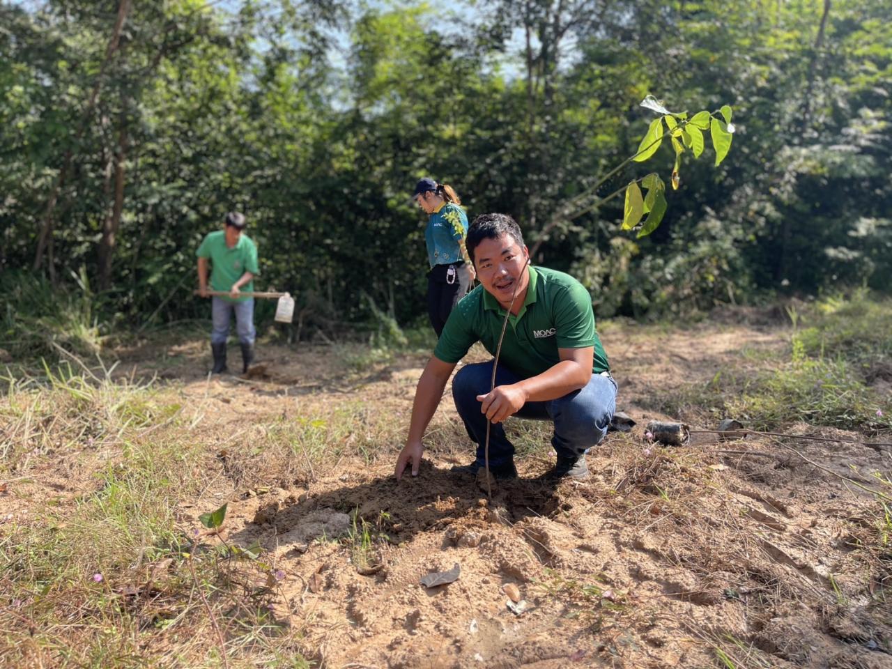 ภาพประกอบที่ 5