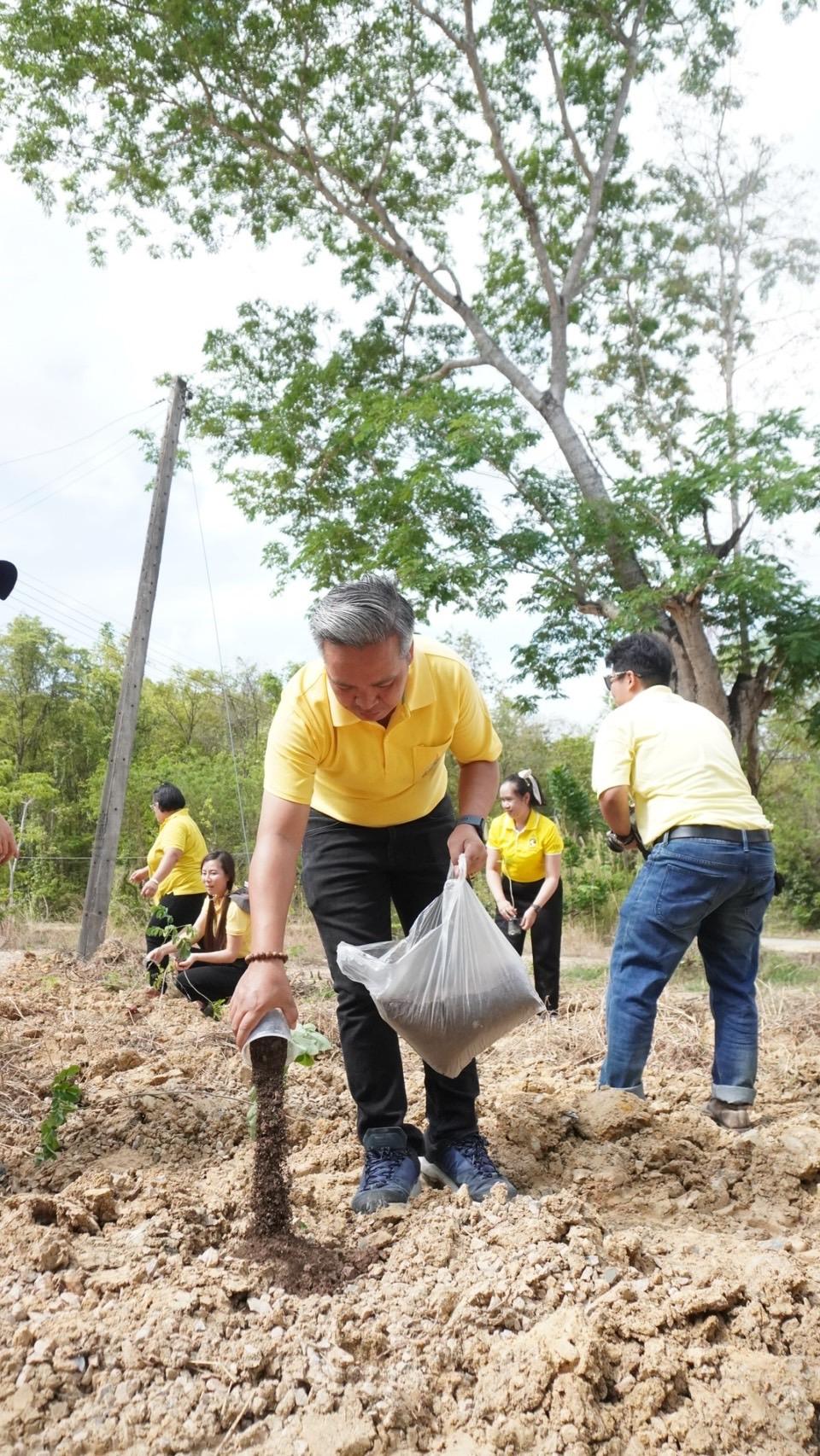 ภาพประกอบที่ 3