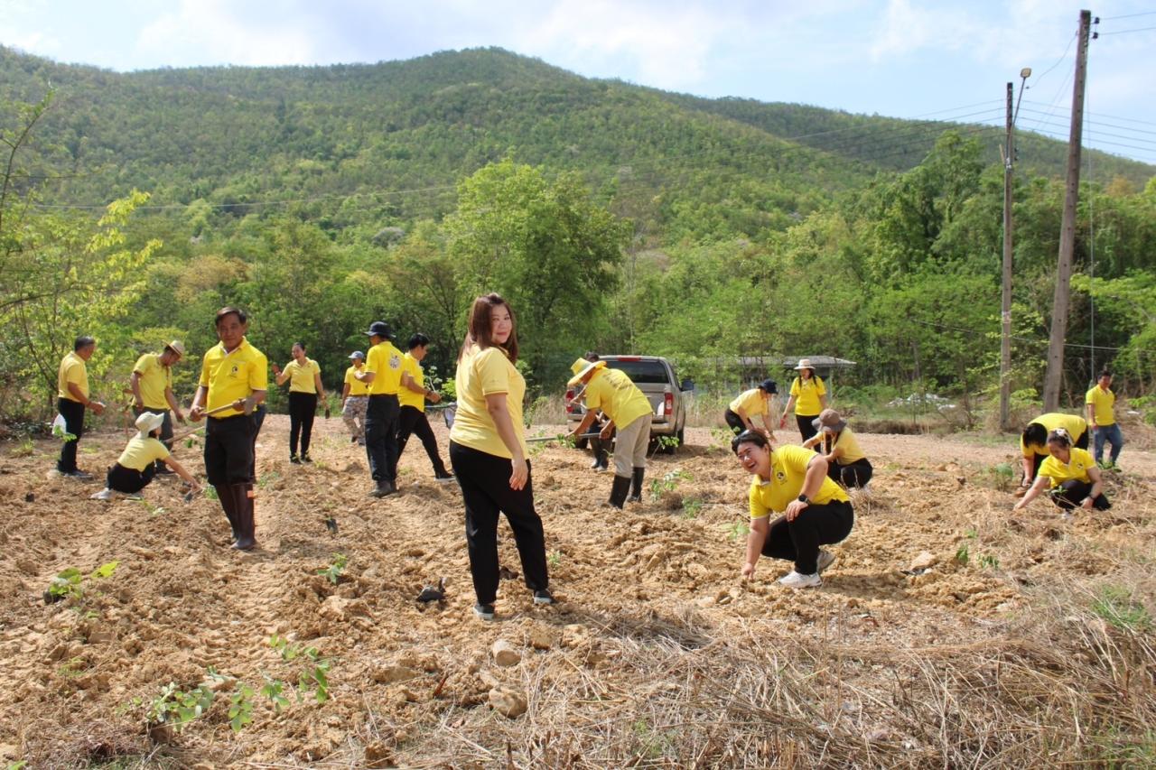 ภาพประกอบที่ 10