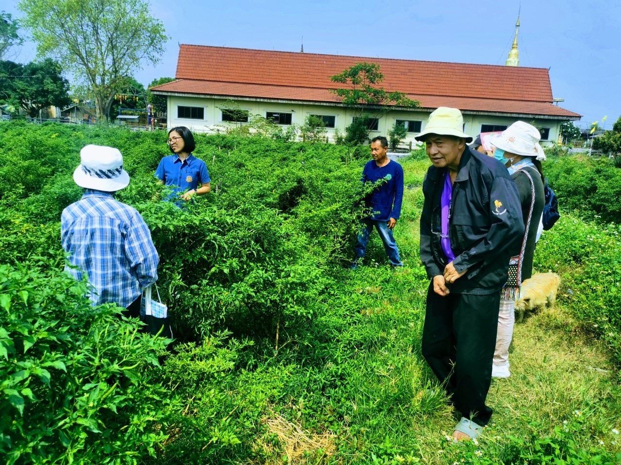 ภาพประกอบที่ 5