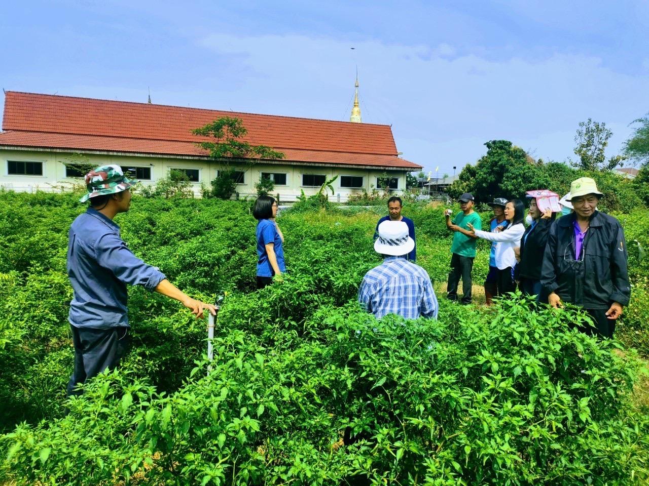 ภาพประกอบที่ 6