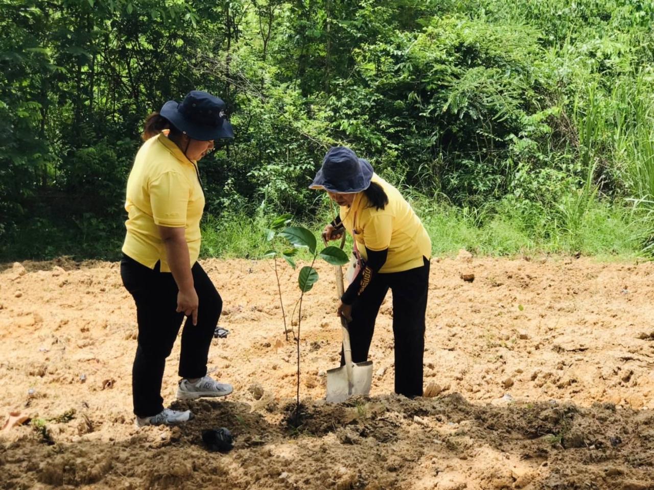 ภาพประกอบที่ 7