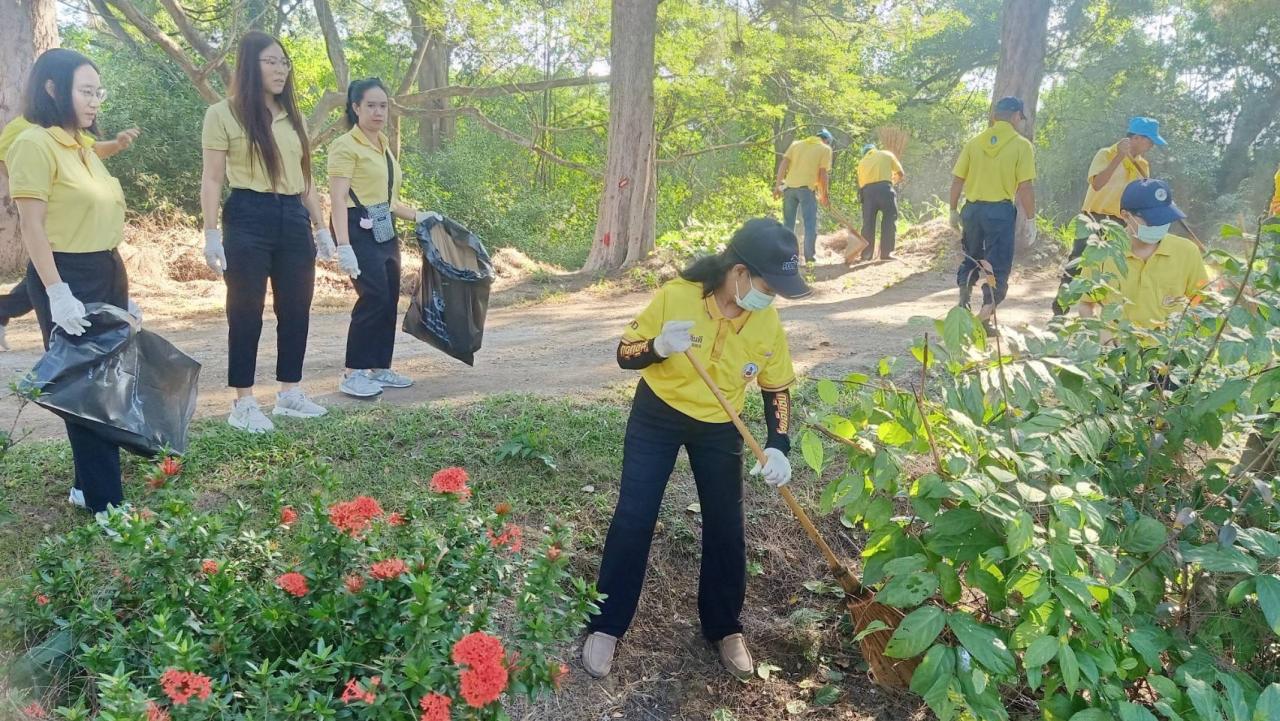 ภาพประกอบที่ 8