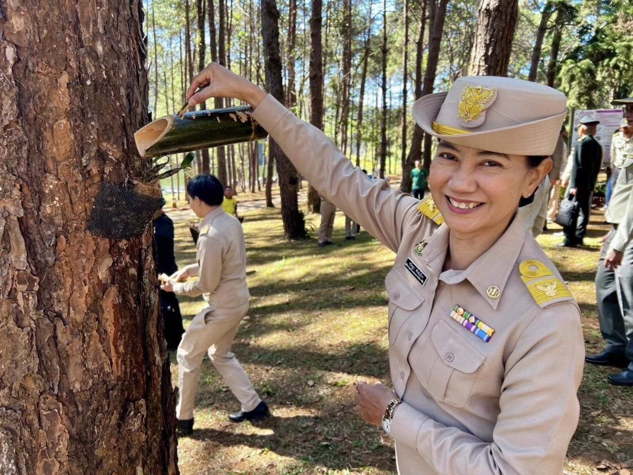 ภาพประกอบที่ 6