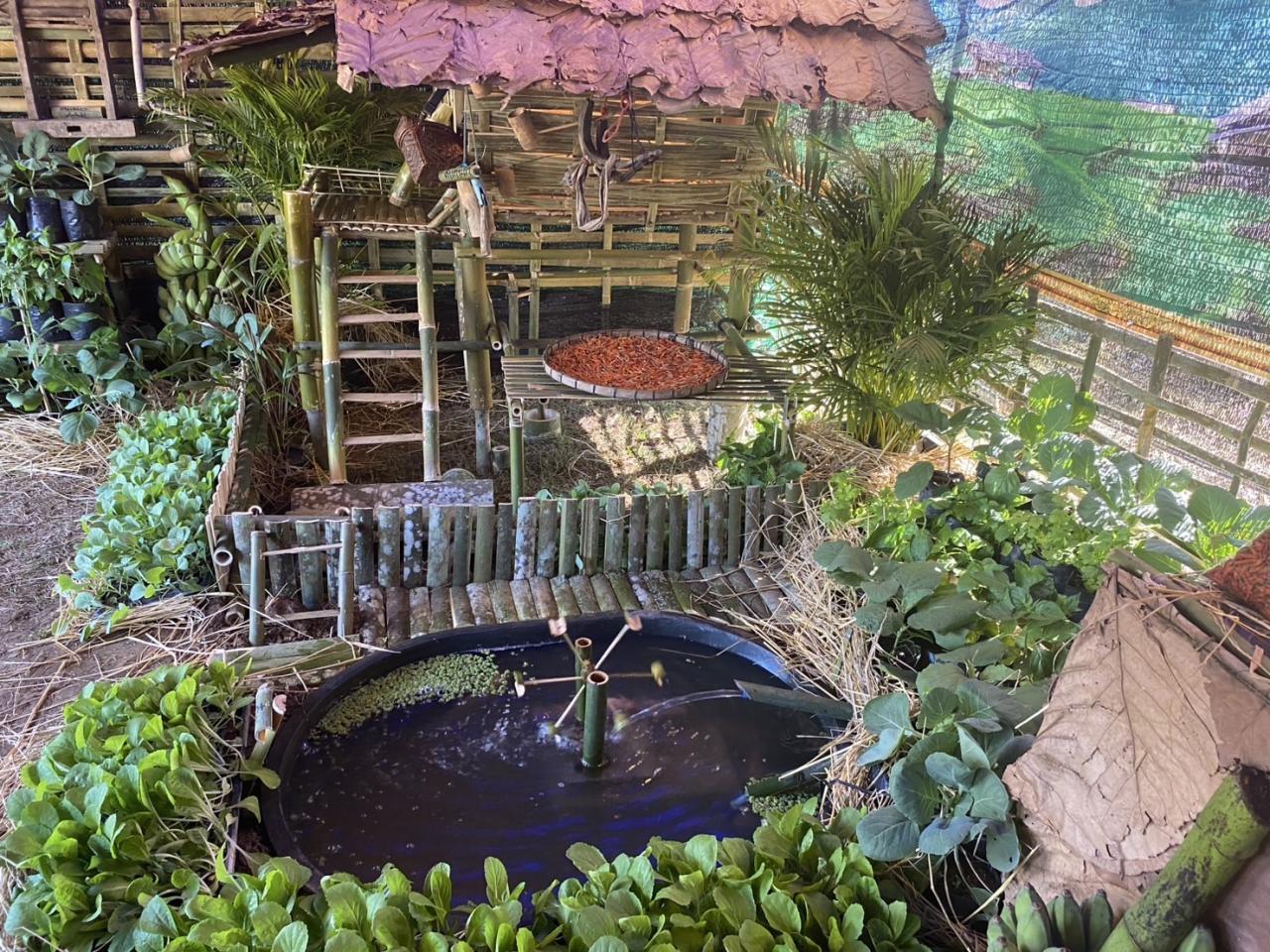 ภาพประกอบที่ 4