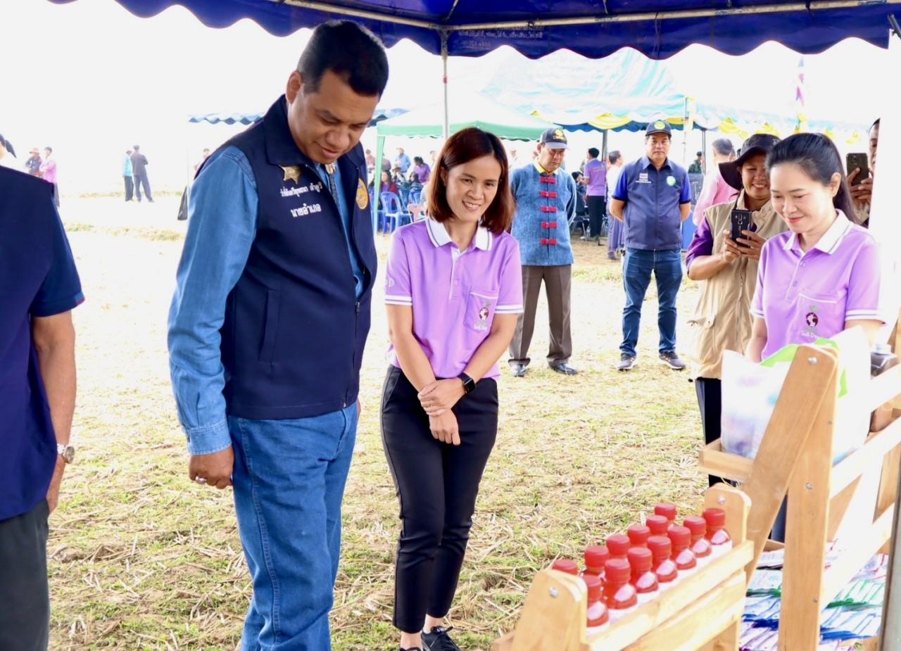 ภาพประกอบที่ 8