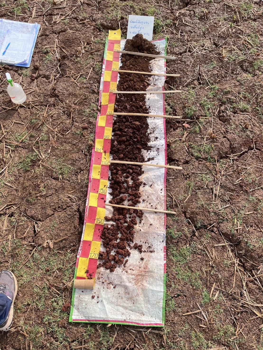 ภาพประกอบที่ 1