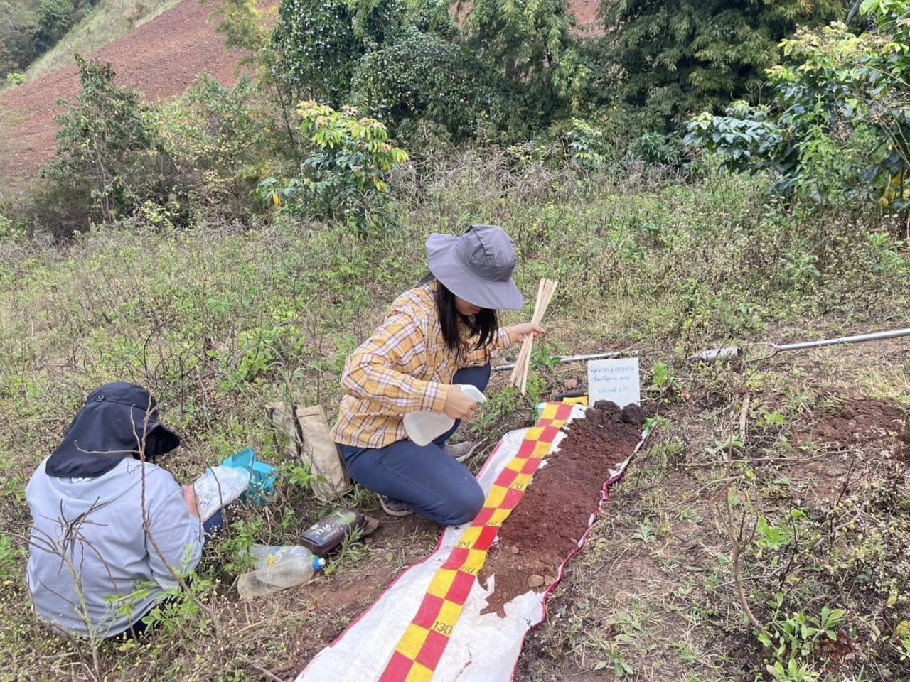 ภาพประกอบที่ 2