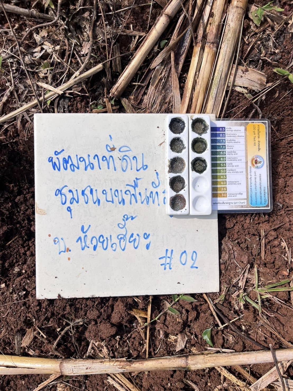 ภาพประกอบที่ 3