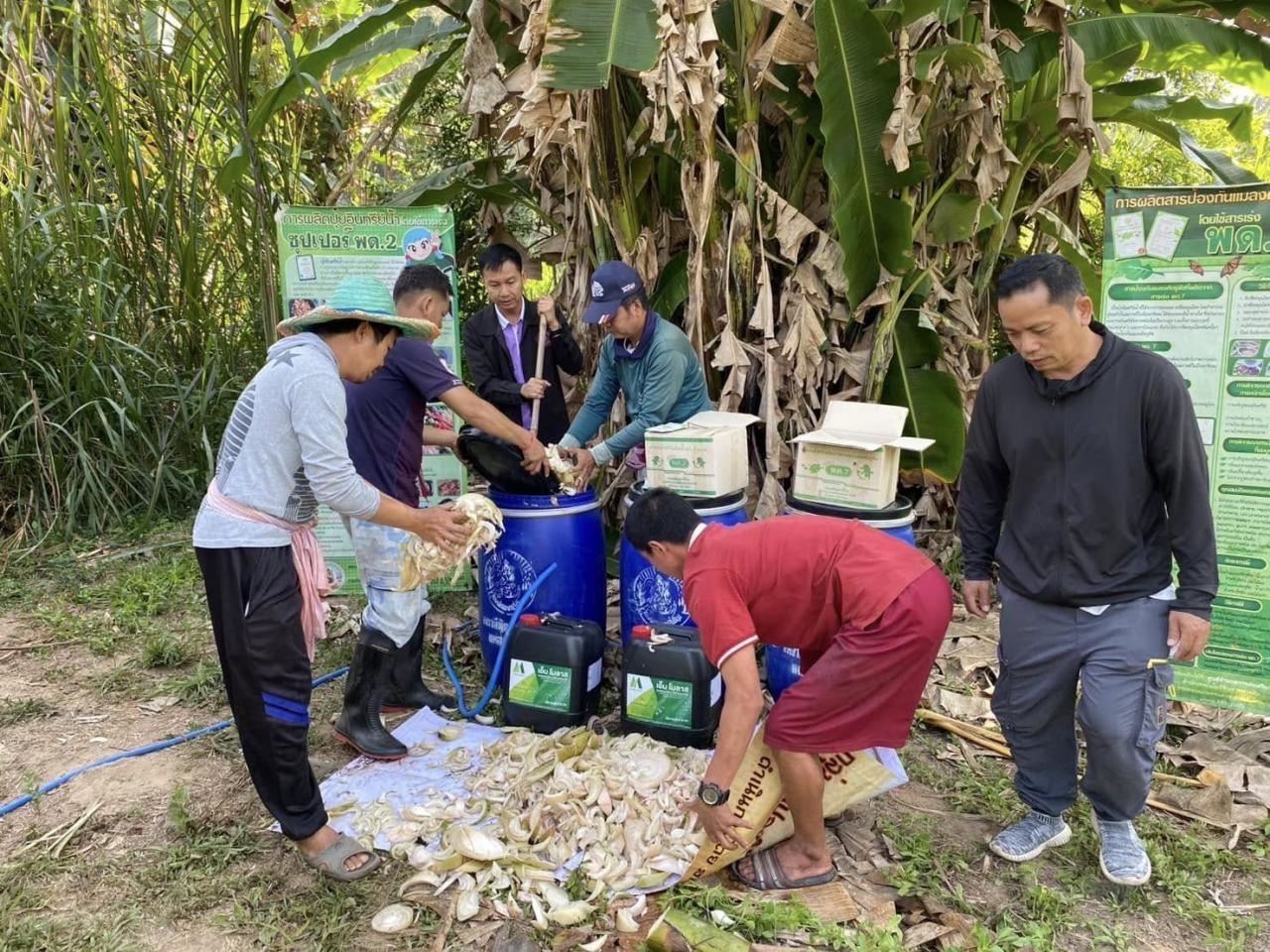 ภาพประกอบที่ 4