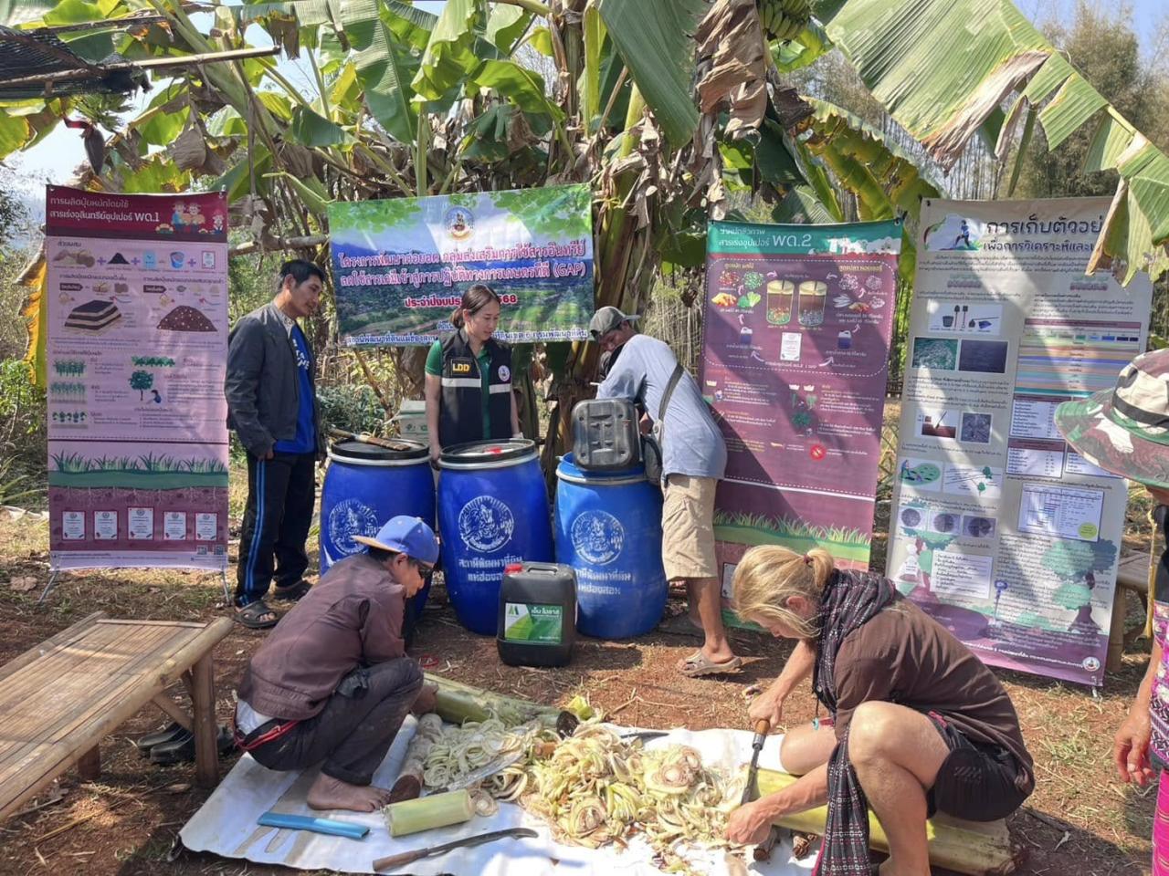 ภาพประกอบที่ 2