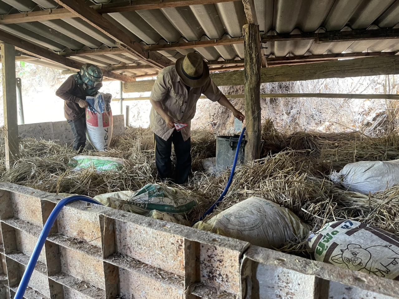 ภาพประกอบที่ 3