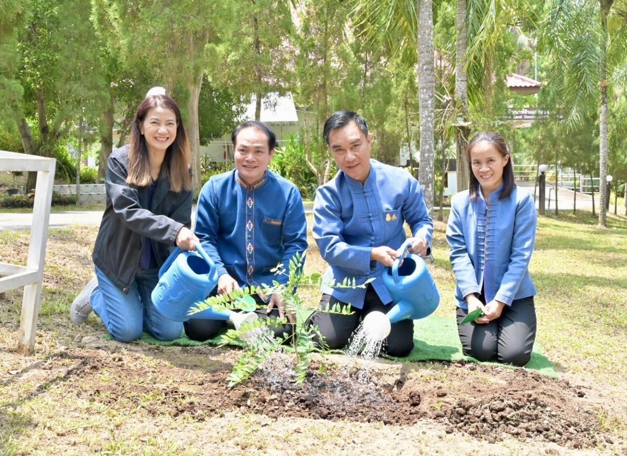 ภาพประกอบที่ 2