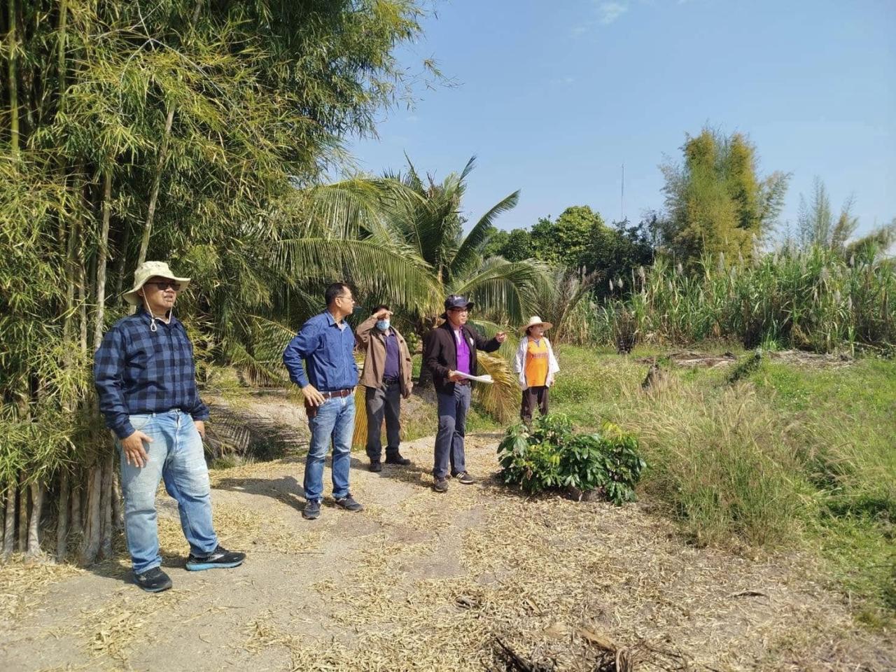 ภาพประกอบที่ 2