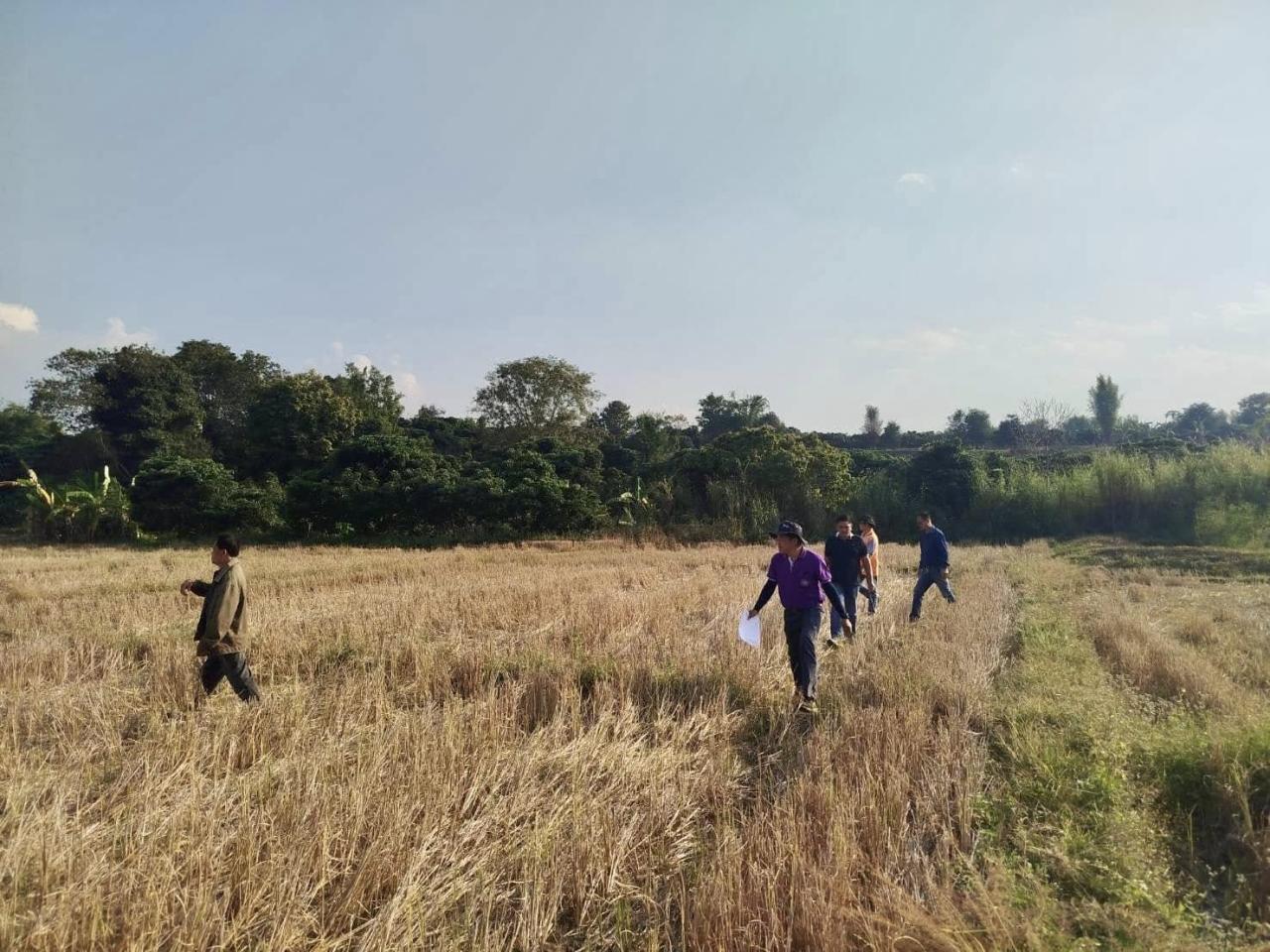 ภาพประกอบที่ 3