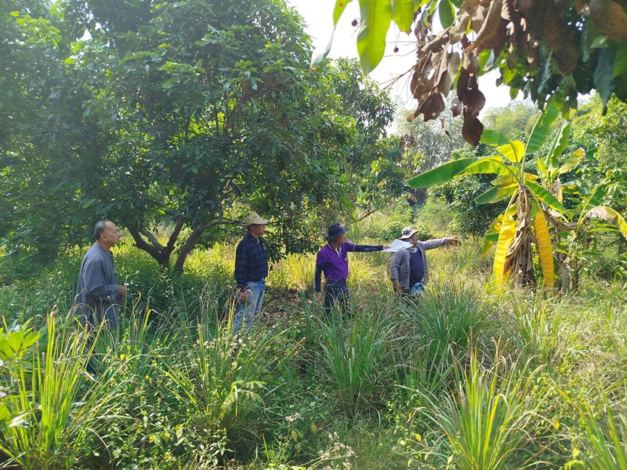 ภาพประกอบที่ 5