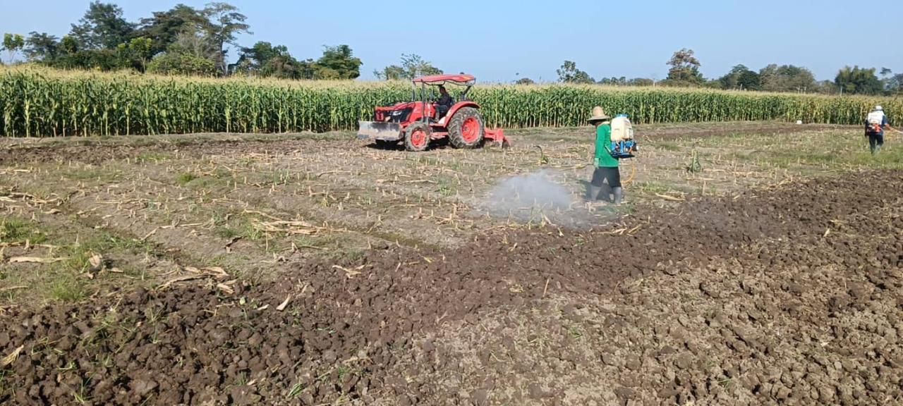 ภาพประกอบที่ 6